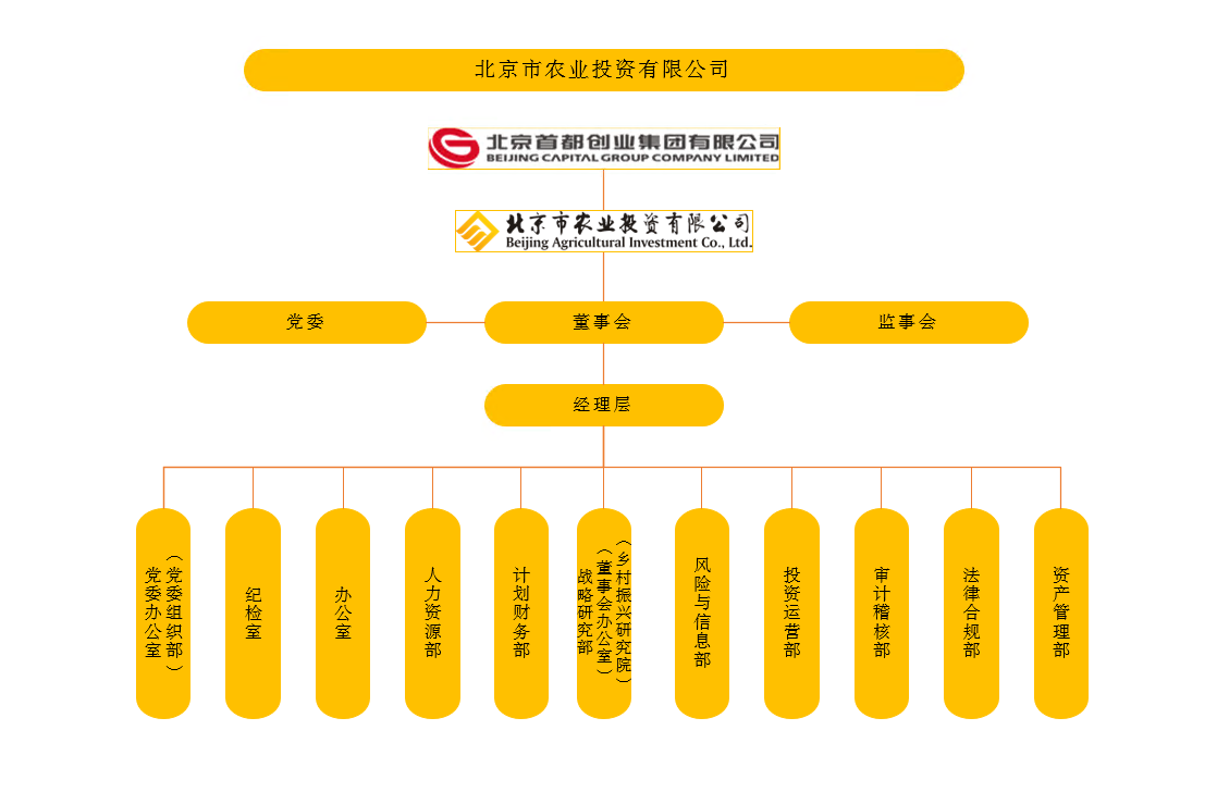 农投组织架构20240704