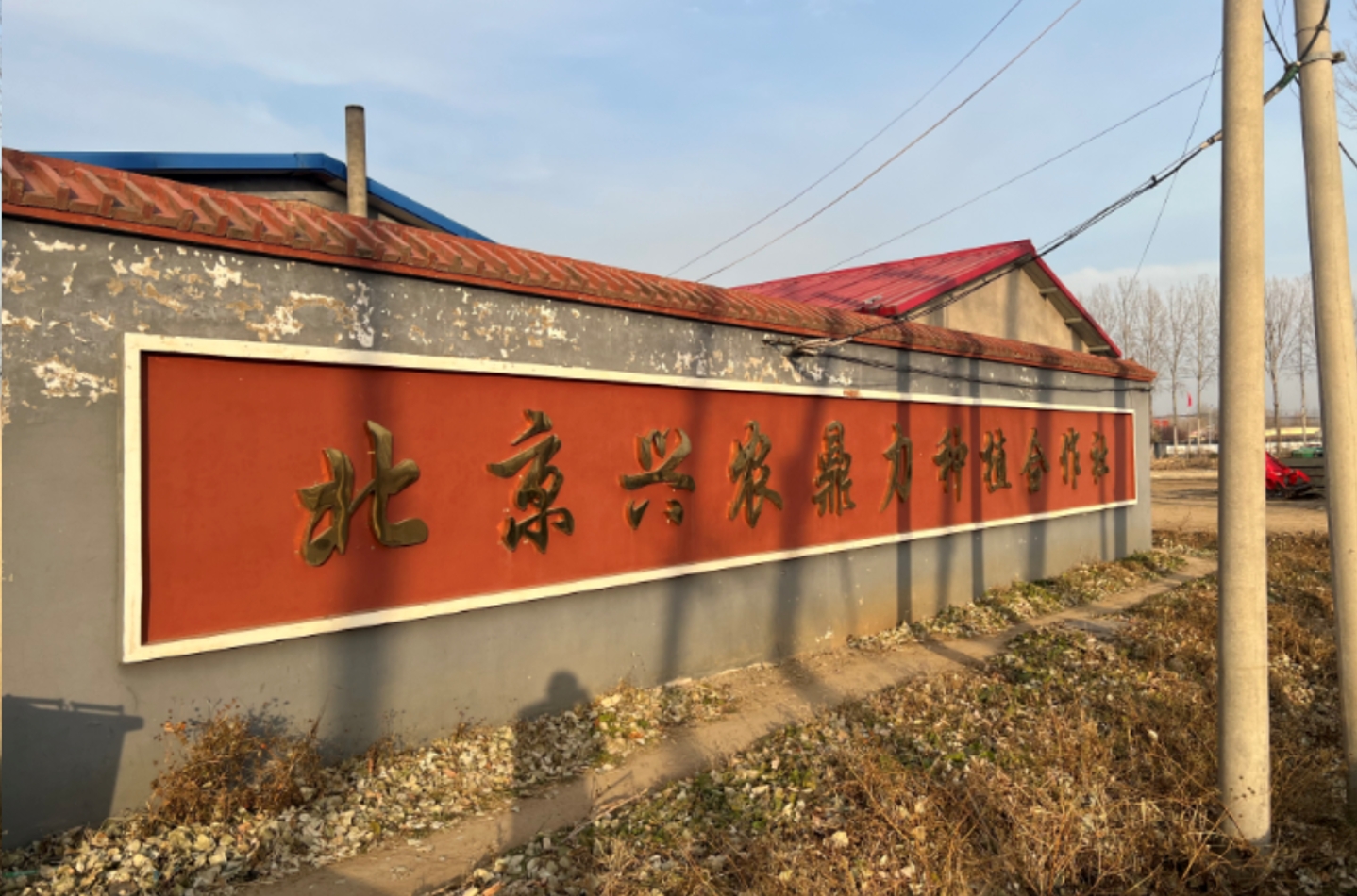 微信截图_20250509100713